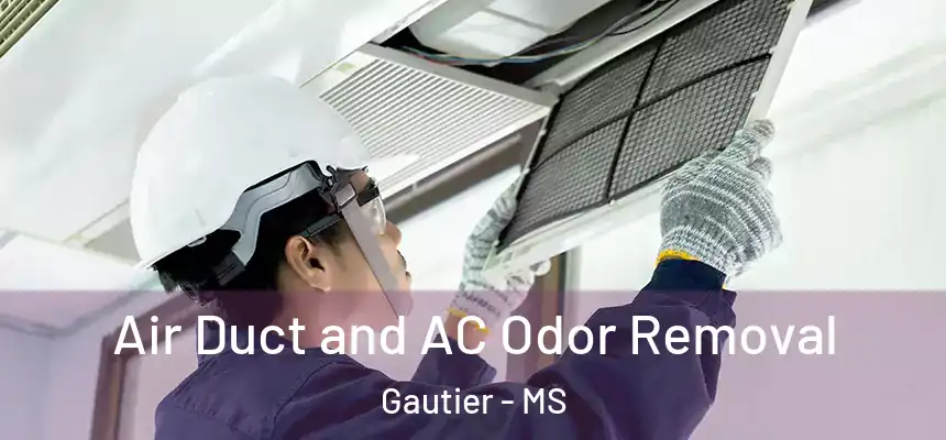 Air Duct and AC Odor Removal Gautier - MS