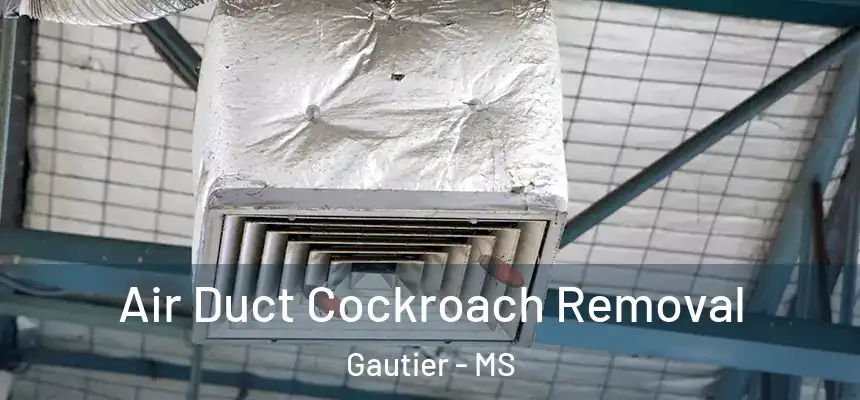  Air Duct Cockroach Removal Gautier - MS