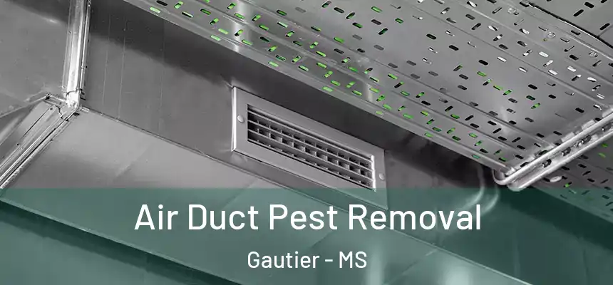  Air Duct Pest Removal Gautier - MS