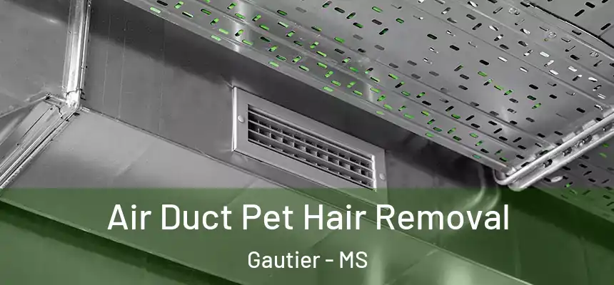  Air Duct Pet Hair Removal Gautier - MS