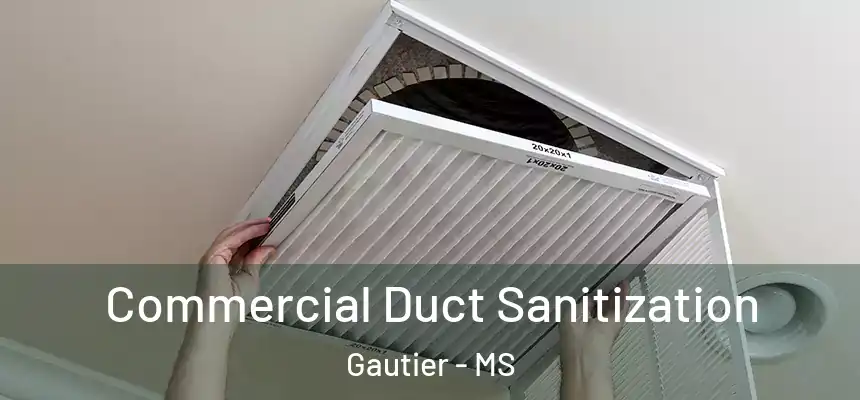 Commercial Duct Sanitization Gautier - MS