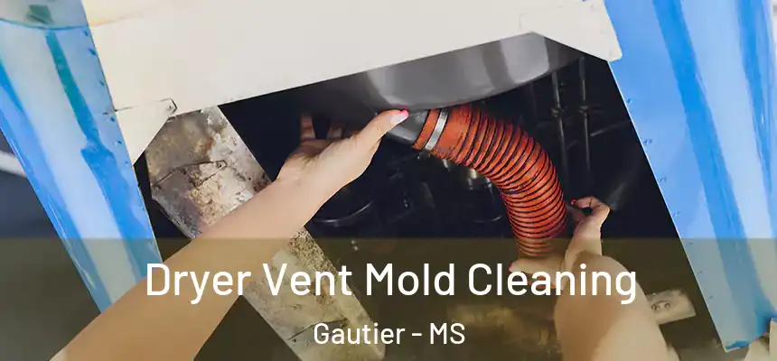  Dryer Vent Mold Cleaning Gautier - MS