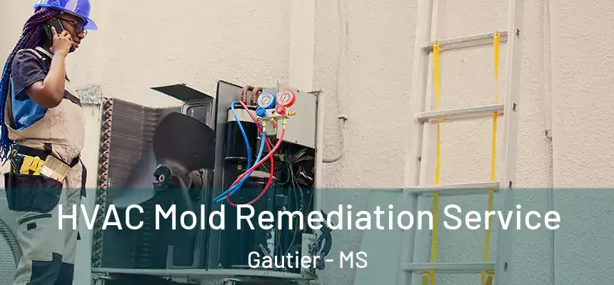 HVAC Mold Remediation Service Gautier - MS