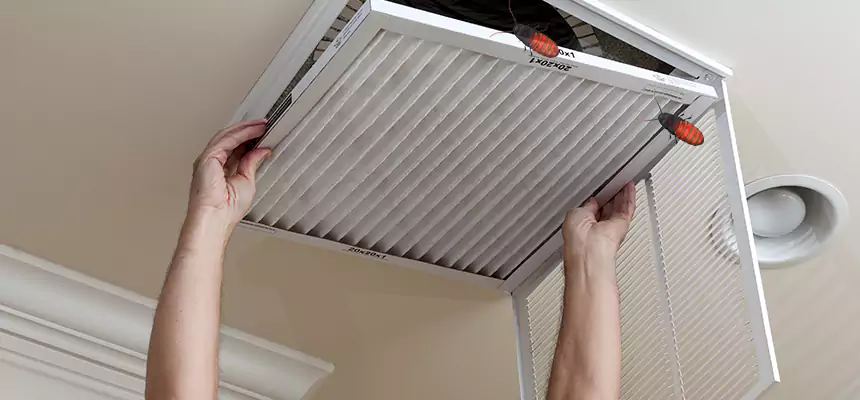 Preventive Cockroach-Proofing for Ducts in Gautier