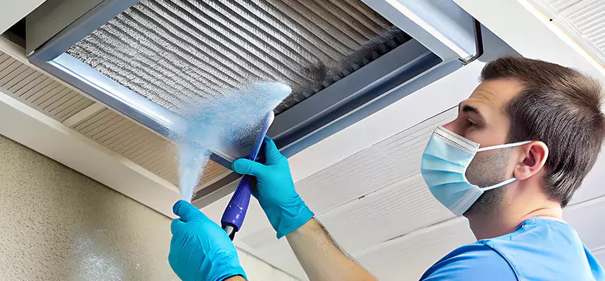 Proactive Dryer Vent & Auxiliary Duct Pollen Cleanup in Gautier, MS