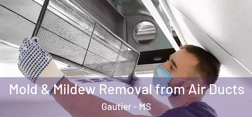  Mold & Mildew Removal from Air Ducts Gautier - MS