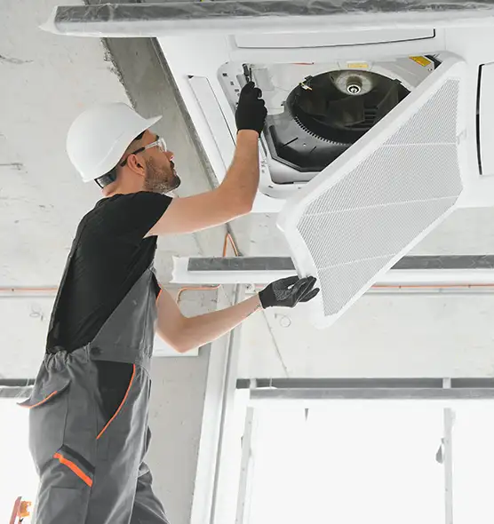 About Air Duct Rodent Removal in Gautier, MS