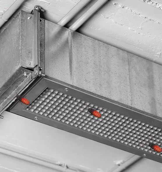 Affordable Insect Removal from Air Ducts in Gautier, MS