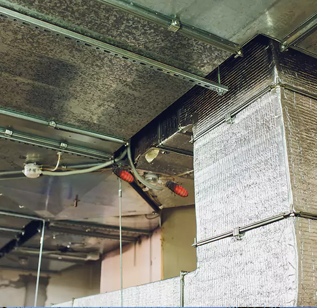 Why Homeowners & Businesses Trust Us in Gautier, MS?