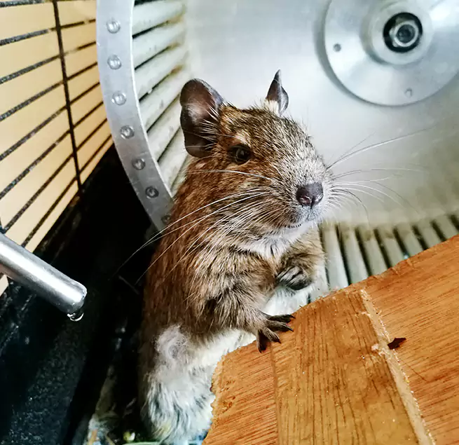 Why Homeowners & Businesses Trust Us Gautier, MS