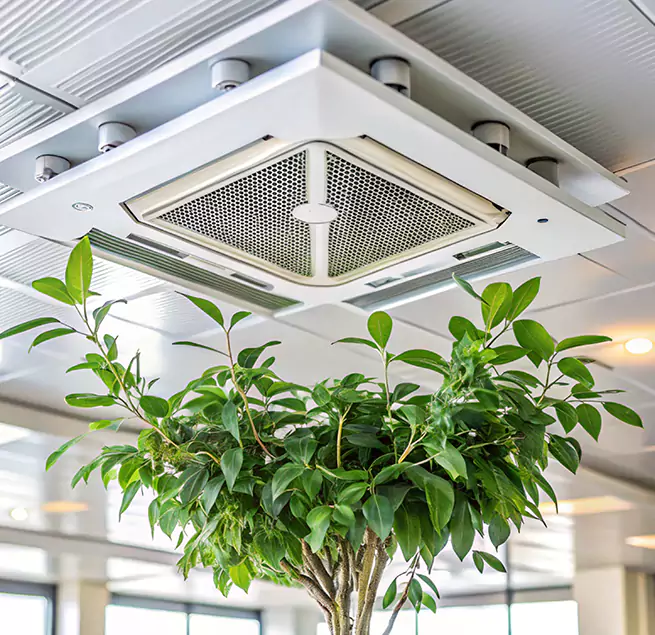 Why Homeowners & Businesses Trust Us in Gautier, MS