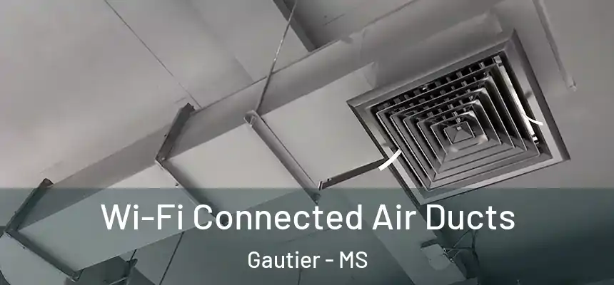 Wi-Fi Connected Air Ducts Gautier - MS